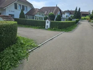Einfahrt mit gepflegter Hecke und Zufahrt