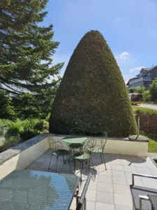 Gartenbereich mit Zypresse und Sitzgelegenheit