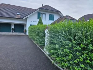Einfahrt mit gepflegter Hecke