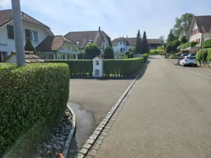 Saubere Hofzufahrt mit Hecken