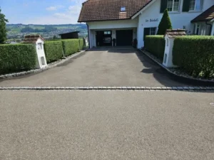 Hauseinfahrt mit symmetrisch geschnittenen Hecken