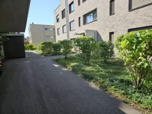 Wohnanlage mit gepflastertem Weg und Bepflanzung