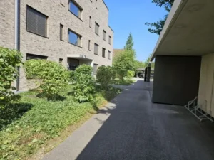 Eingangsbereich mit Pflanzen und Gehweg