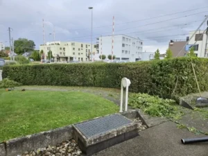 Parkplatz mit gepflegter Hecke