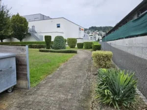 Strauchwerk und Gehweg in Wohnanlage